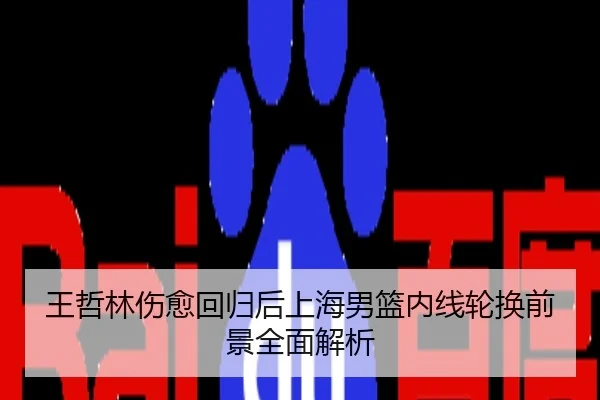 王哲林伤愈回归后上海男篮内线轮换前景全面解析